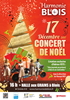Affiche du concert